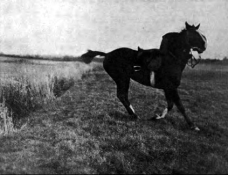  'The Pain of Parting Thus' - the horse has just landed over a brook