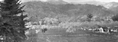 qc309C Napa valley California   1923 